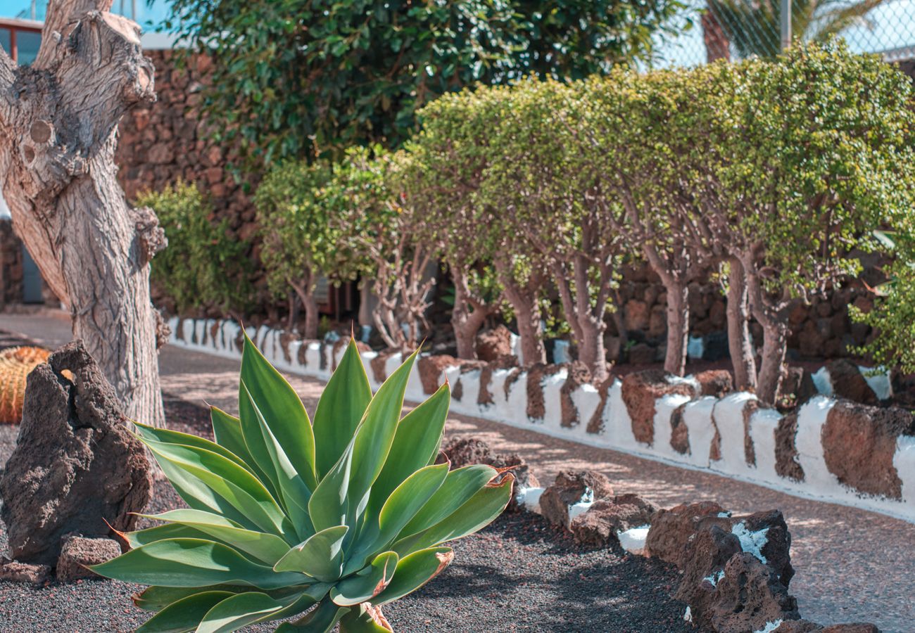 House in Puerto del Carmen - Eva Vacation Home Pool & Relax - Very close to the beach 